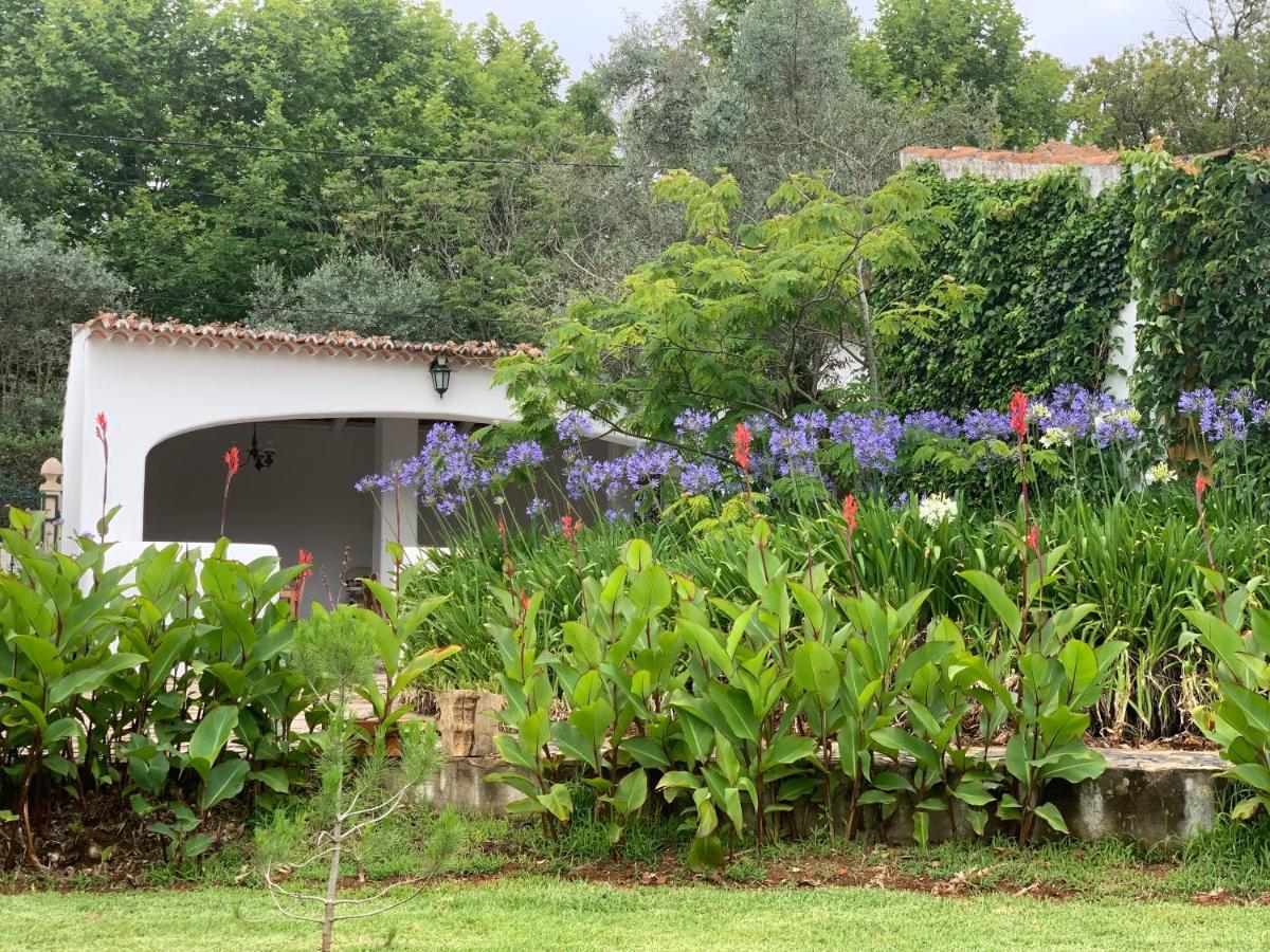 Apartmán Quinta Dos Girassois Fz Ferreira do Zêzere Exteriér fotografie